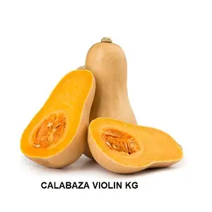 F.A CALABAZA VIOLIN KG