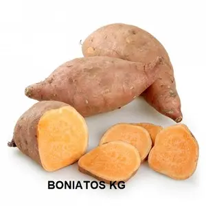 F.A BONIATO KG