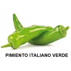 F.A PIMIENTO VERDE ITALIANO KG