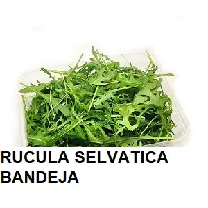 F.A RUCULA BABY SELVATICA BANDEJA