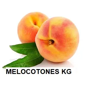 F.A MELOCOTONES KG