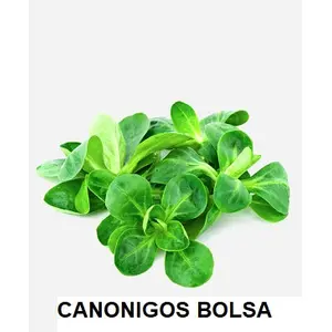 F.A CANONIGOS BOLSA