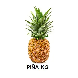 F.A PIÑA KG