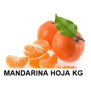 F.A MANDARINA KG