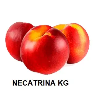 F.A NECTARINA GRANEL KG