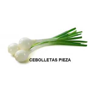 F.A CEBOLLETA PIEZA