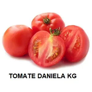 F.A TOMATE DANIELA KG