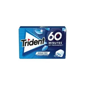 TRIDENT 60M PIPERMINT 20G