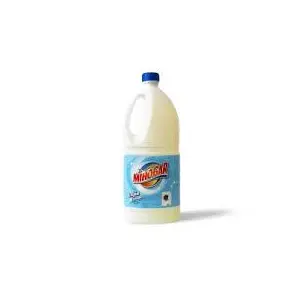 MIHOGAR LEJIA LAVADORA 2L