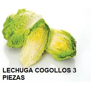 F.A LECHUGA COGOLLOS 3 PIEZAS