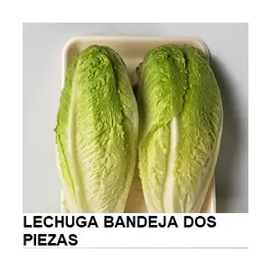 F.A LECHUGA BANDEJA DOS PIEZAS ROMANA