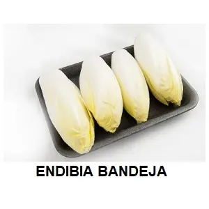 F.A ENDIVIA BANDEJA