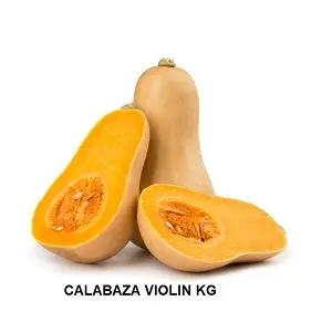 ALBX CALABAZA VIOLIN KG
