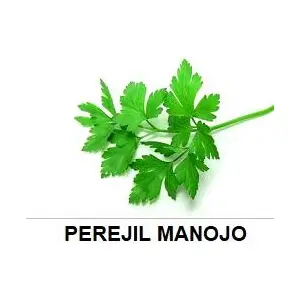 ALBX PEREJIL MANOJO