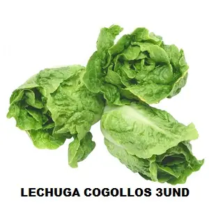 ALBX LECHUGA COGOLLOS 3 PIEZAS