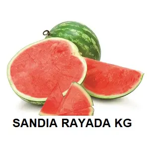 ALBX SANDIA RAYADA KG