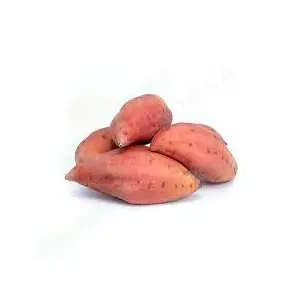 ALBX BONIATO KG