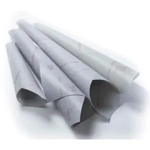 SIERRA NEVADA PAPEL LAMINADO-2 38X54 20KG