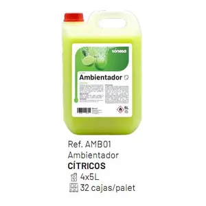 SONESA AMBIENTADOR CITRICO 5L