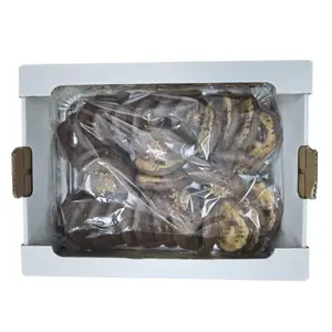 CUENCA PALMERA FERRERO KG